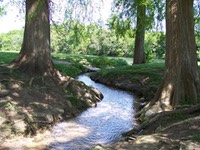 San Gabriel Park Spring